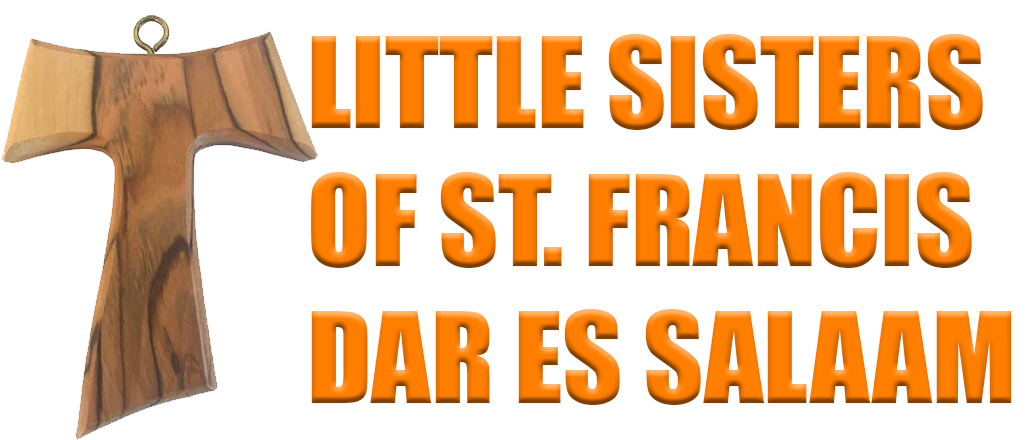 LITLE SISTERS OF ST FRANCIS